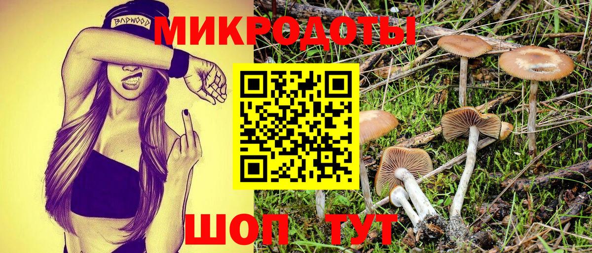 Алатырь  Псилоцибиновые грибы GOLDEN TEACHER  Галлюциногенные грибы Psilocybine cubensis  как найти наркотики  Вход с VPN 